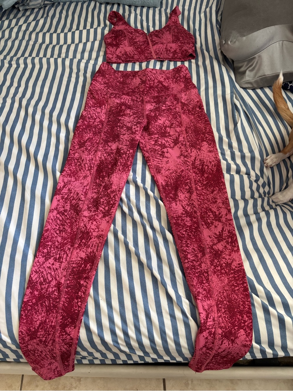 Women Pink Velvet-Texture Top and Leggings